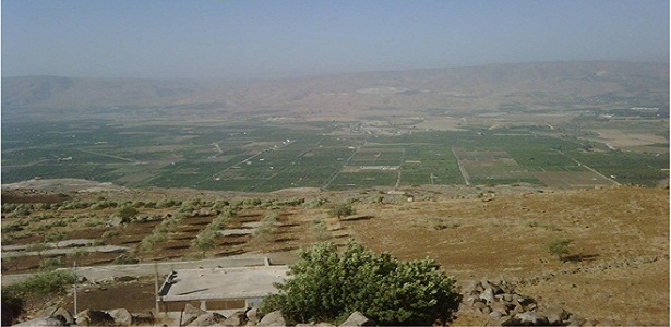 Kebun Kurma baisan Palestina wilayah Baisan & kurma