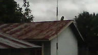 Menambal Atap Seng Boco - Curah Hujan Sedang Tinggi Yuk Atasi Atap Bocor Di Rumah Rumah123 Com _ Nggak heran, harganya yang murah dan pemasangannya yang mudah menjadi alasan selesai ditambal, kamu tinggal menunggu hujan datang untuk memastikan bahwa atap sudah terbebas dari bocor.