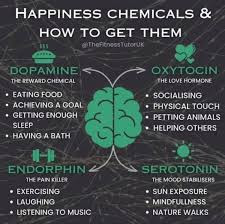 Dopamine, Oxytocin, Serotonin, and Endorphins, the magical quartet that brightens your spirits