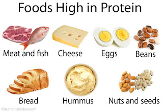 protein