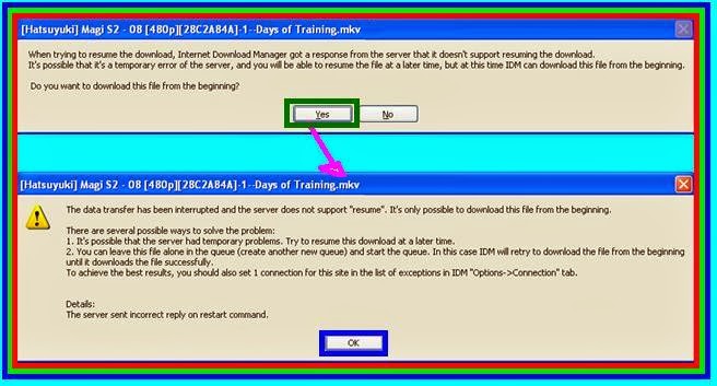 Cara Melanjutkan/Resume Download File Karena Server Error Pada Internet Download Manager
