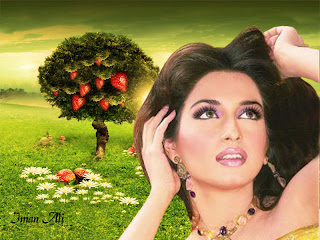 Iman Ali Wallpaper