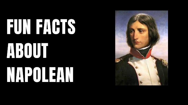 Unveiling 25 fun facts about napoleon