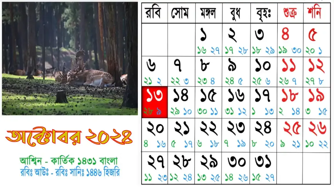 ছবি-১১