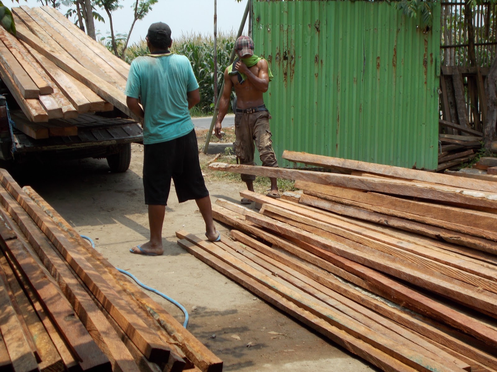 Jual Kayu Glugu  Jual Kayu Kelapa  Kayu Kalimantan: Jual 