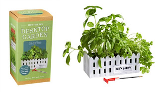 Desktop Herb Garden