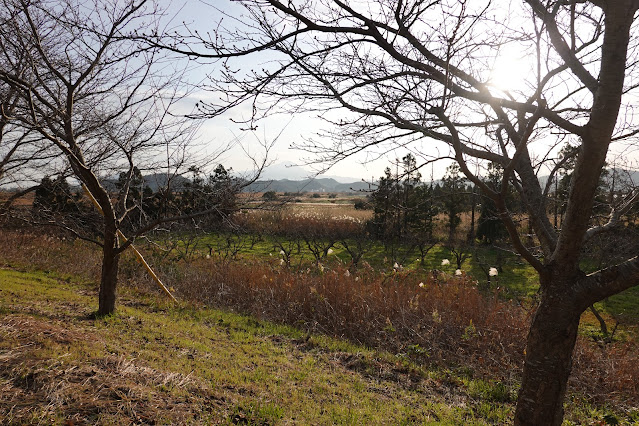 島根県安来市島田町