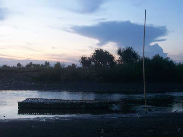 lonely bamboo raft