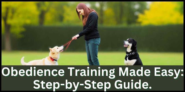 Obedience Training Made Easy: Step-by-Step Guide.