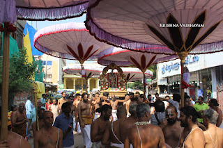 Ippasi Thirumoolam,Sattrumurai, Manavala Maamunigal,Purappadu,2016, Video, Divya Prabhandam,Triplicane,Thiruvallikeni,Utsavam,