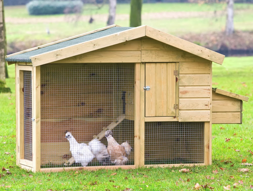 ... chicken coop clean, how to sterilize chicken coop, sterilizing chicken