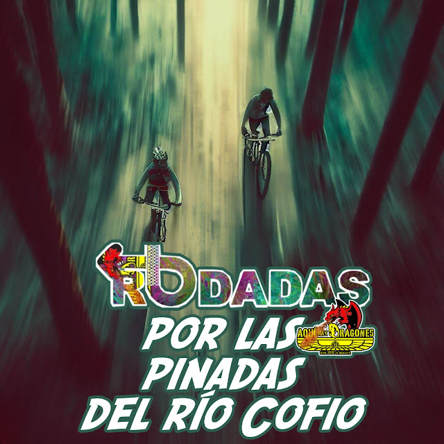 pinares-del-río-Cofio-en-valdemaqueda-en-bicicleta