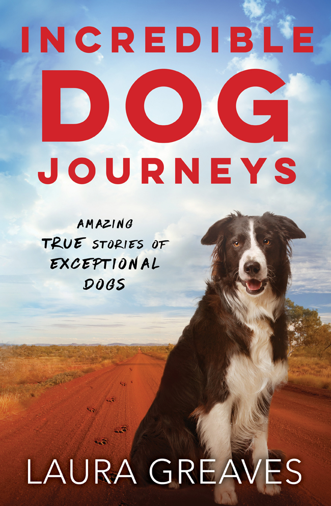 Dog Lovers Book Club December 2016 Australian Dog Lover