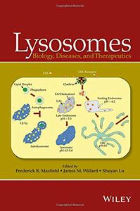 Lysosomes: Biology, Diseases, and Therapeutics