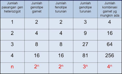 Hasil gambar untuk mencari gamet pandani