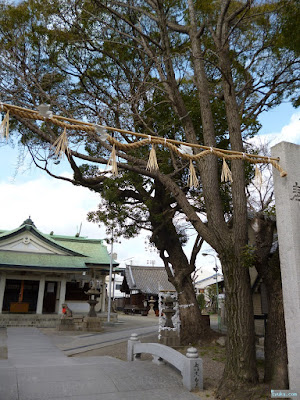 野里住吉神社ご神木