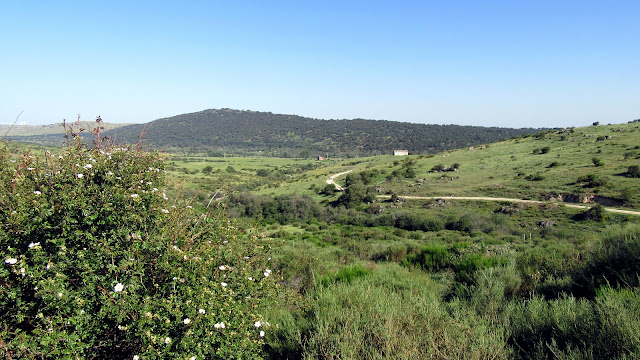 Lagunillas y Municiones