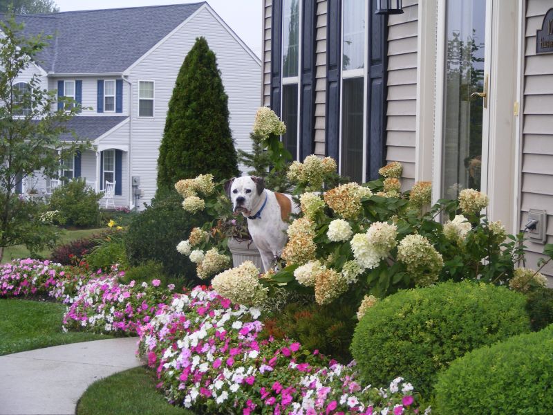 Front Yard Landscaping Ideas | Dream House Experience