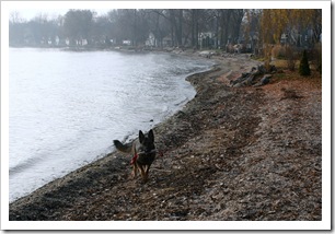 2009.11.24 Brita.LakeWinnebago-1