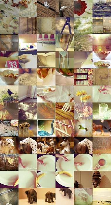 2008 year in review medium warm