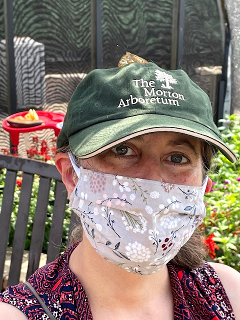 A butterfly visitor on my hat!