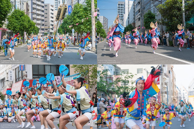 志留波阿連、マロニエ祭りの記事のカバー写真