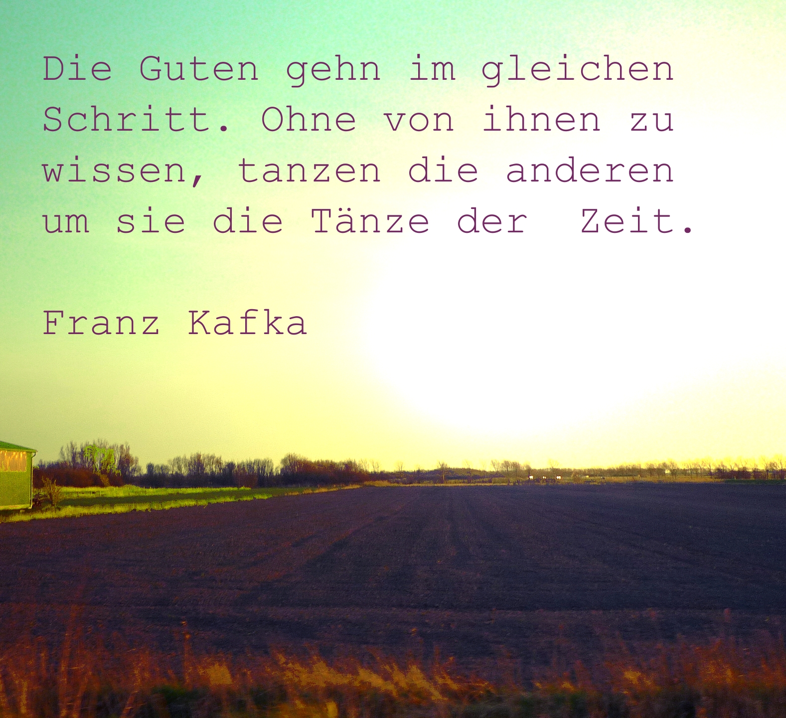 Zitate Von Kafka Franz Zitate Vom Leben