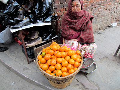 Lists of most common fruits of Nepal