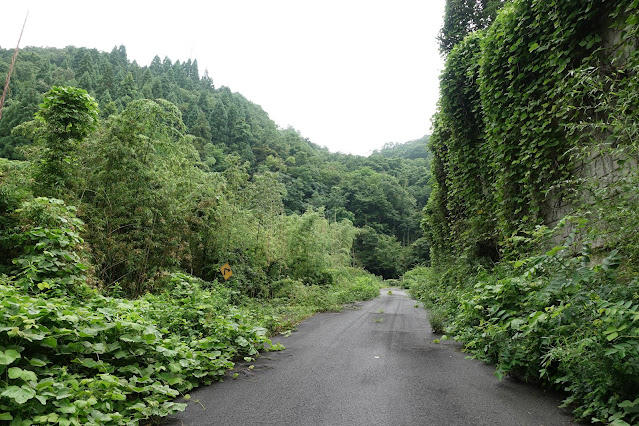 元来た道を登ります