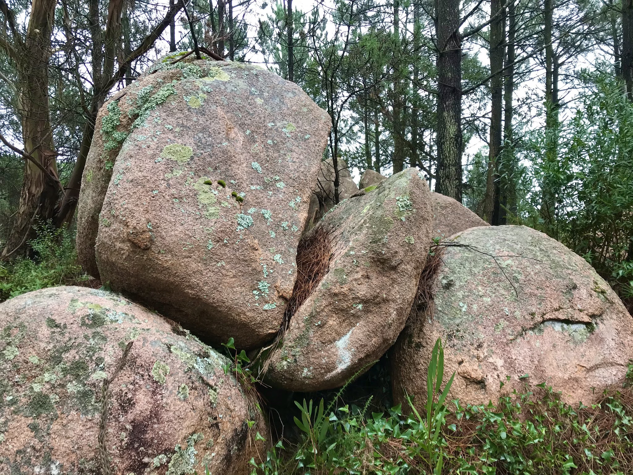 Serra de Sintra, Barragem do Rio da Mula, Trilho das Pontes, Convento dos Capuchos, Memorial dos Soldados, Tholos do Monge, Pedra Amarela, Portugal, Trekking, Trails, Outdoor