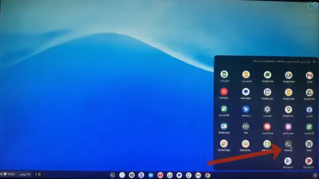 طريقة تثبيت linux وتطبيقات linux على نظام التشغيل chrome os flex