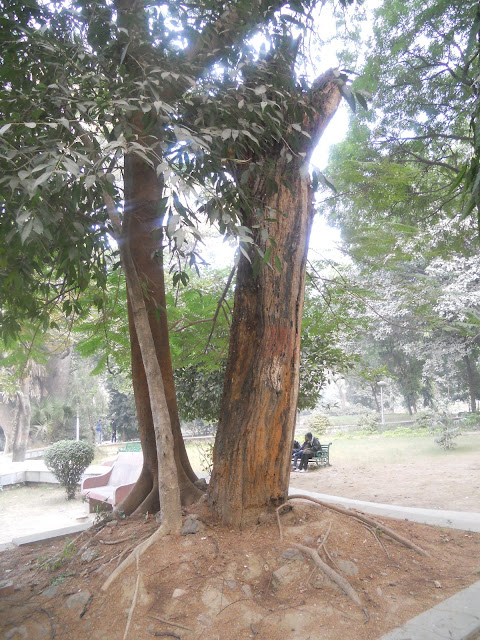 Chandrashekhar Azad Park @ Prayagraj (Uttar Pradesh) by drifter baba