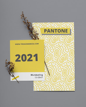 PANTONE CORES DO ANO 2021