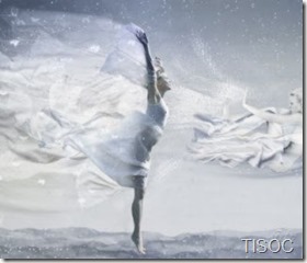 151762_normal_Libre3