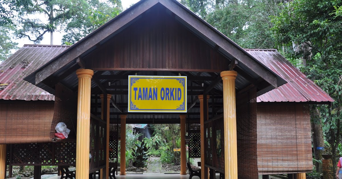 Bestari@terengganu: Taman Orkid, Hutan Lipur Sekayu, Hulu 