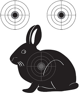 Мишень заяц. Hare target.