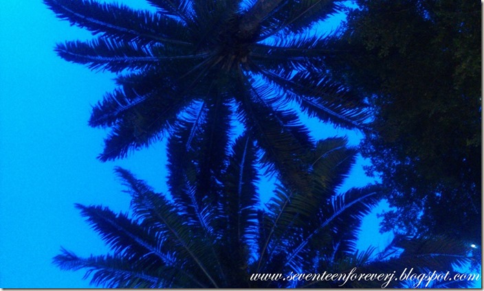 PhotoCap_040