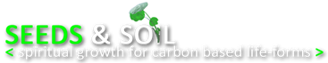 seeds and soil