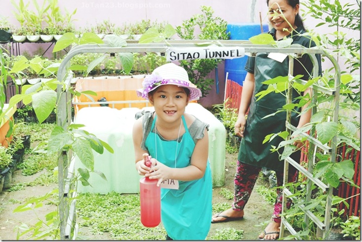 Jensen Kinder Farm Organic Farming for Kids and Adults Quezon City - jotan23 (16)