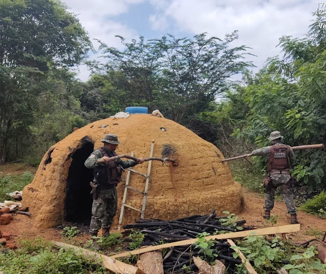 Polícia Militar  destrói fornos de carvão irregulares na Chapada Diamantina