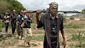 How Bandits Currently Control 10 Local Governments In President Buhari’s Home State