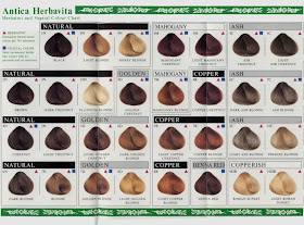 Brown Hair Color Chart-4.bp.blogspot.com