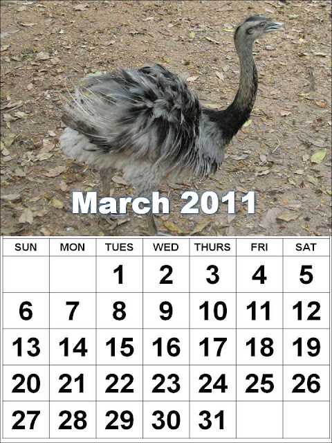 free printable calendars march 2011. Free, printable monthly