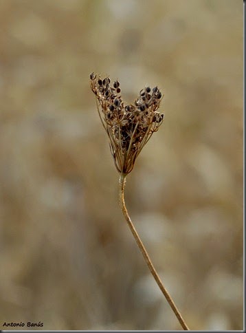 8_DSC0703x1