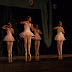 Festival Navideño 2011 Danza – Arte