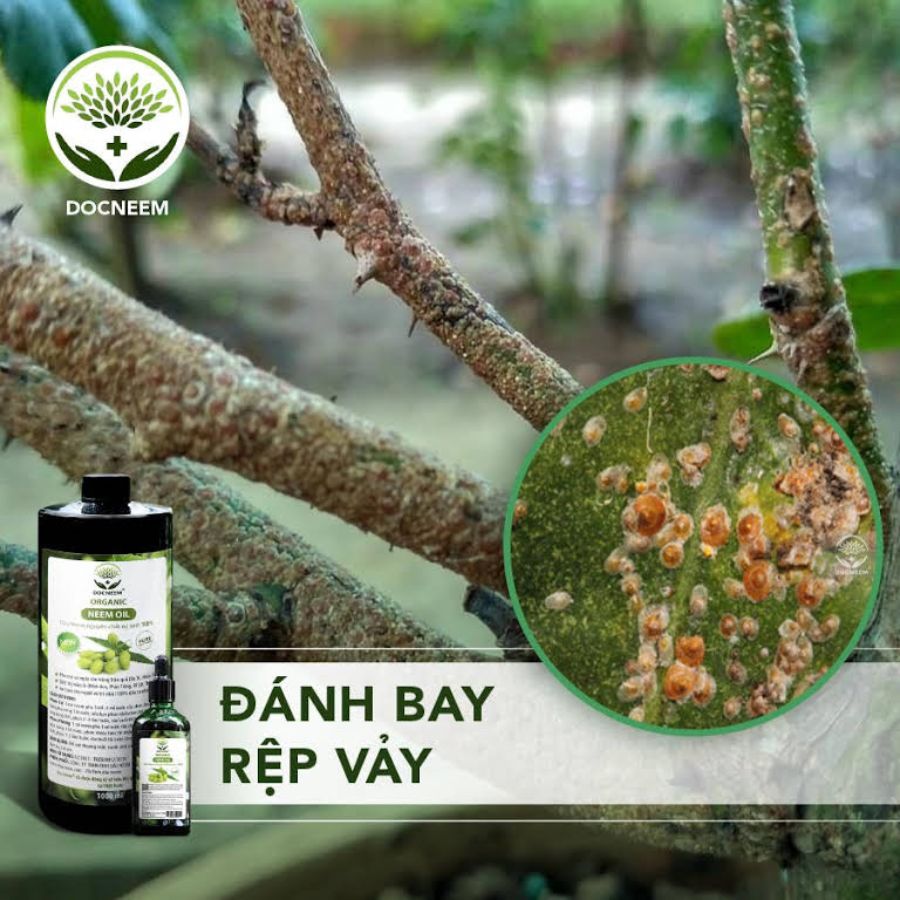 Dầu neem của Docneem đánh bay côn trùng gây hại