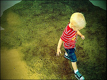 2010 08 12_6021