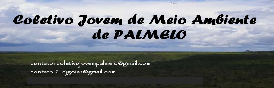 Coletivo Jovem de Meio Ambiente de PALMELO