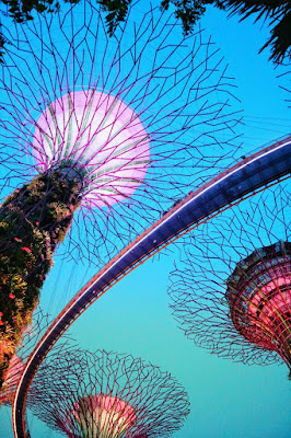 Garden by the bay singapore