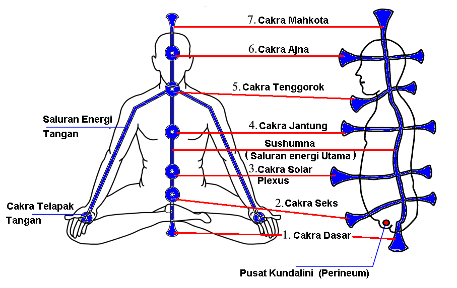 parobo MACAM MACAM CAKRA